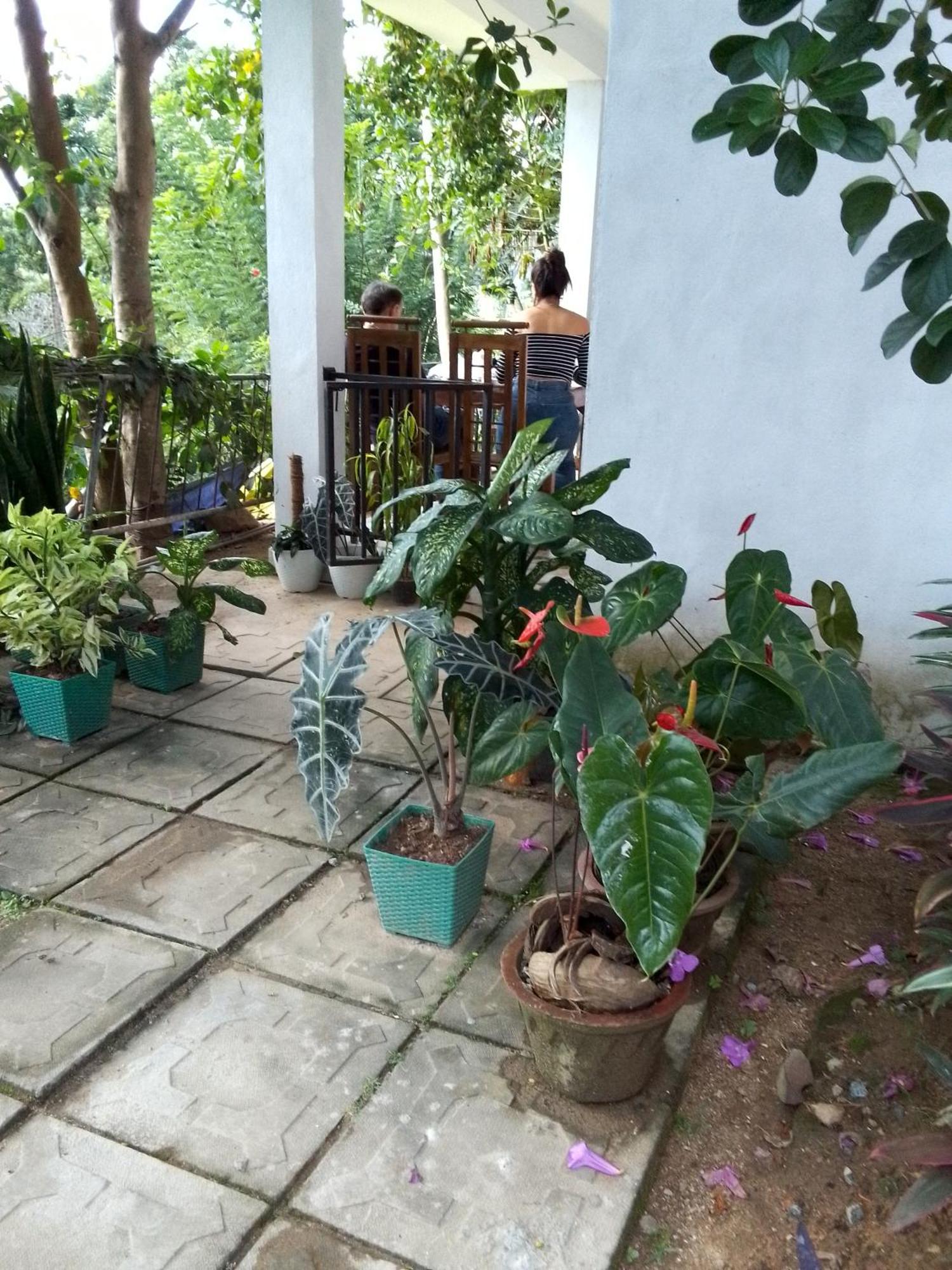 Charming View Homestay Ella Cameră foto